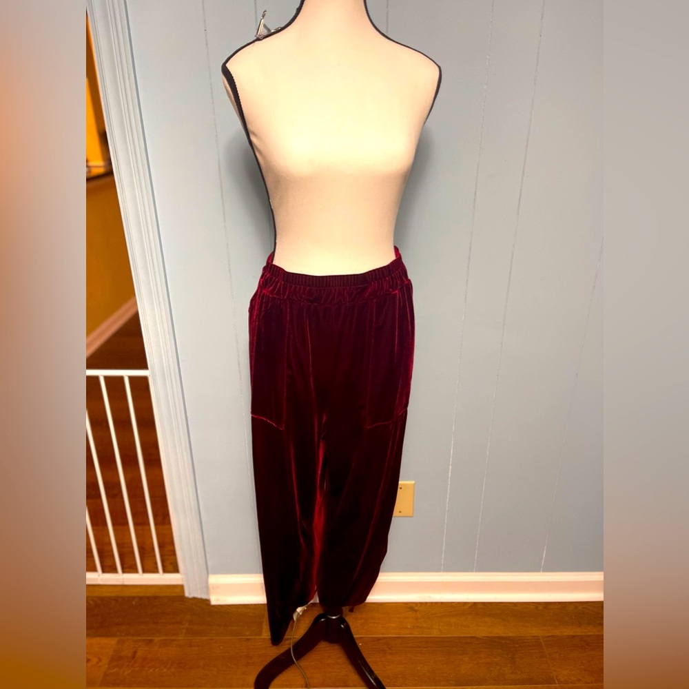 Velvet stretch pants